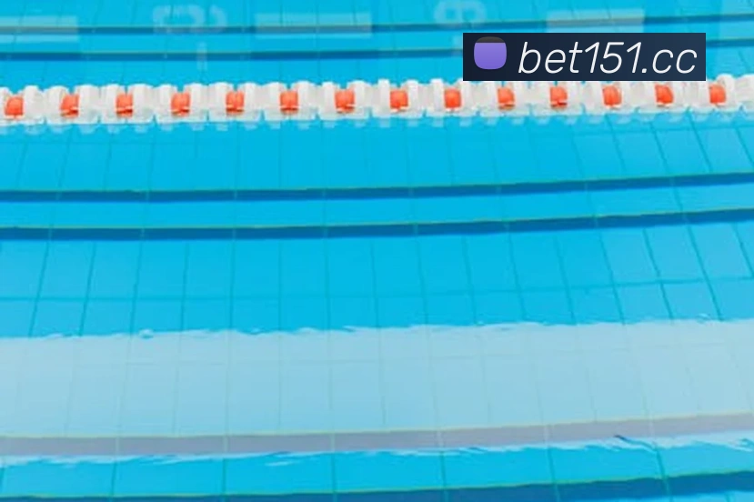 奖项证书